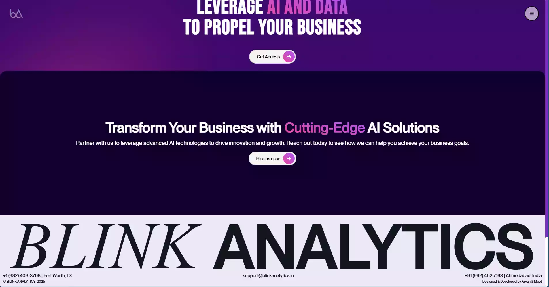 Blink Analytics screenshot 6
